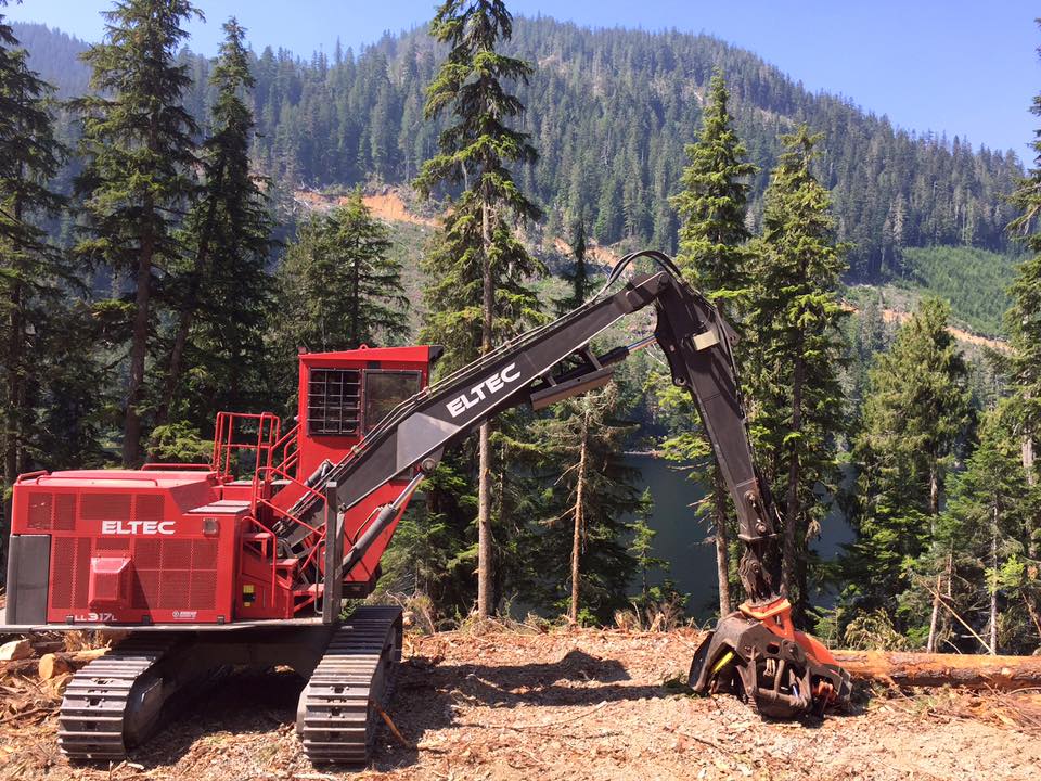 Eltec LL317 log loader sitting on a hill in the forest