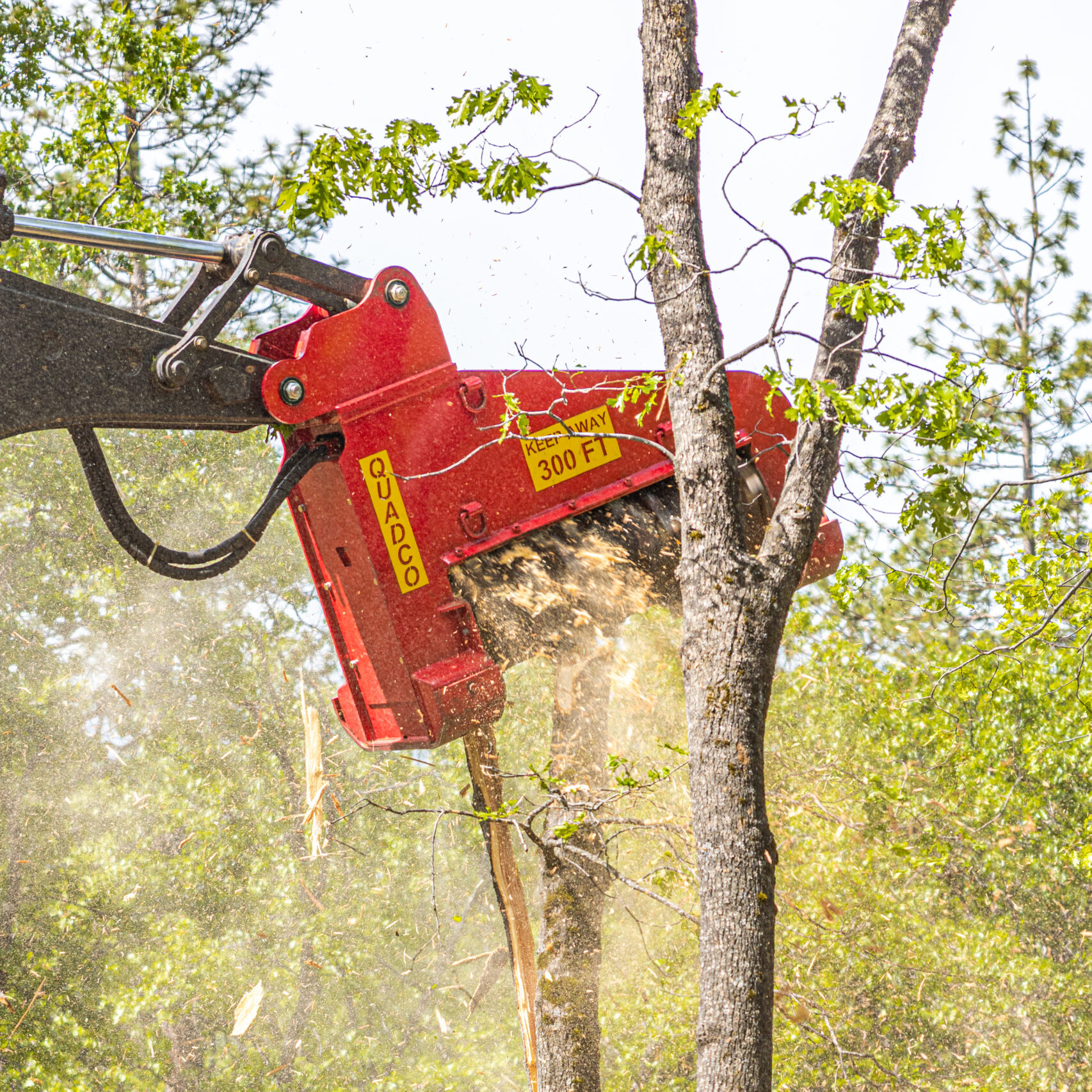 Quadco 56QDM grinding a tree in a forest