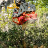 Quadco 32QDM grinding a tree in the forest
