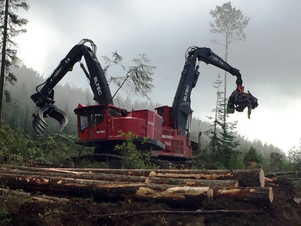 Two Eltec shovel loggers working in a forest