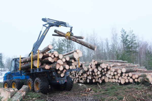 Rottne F20E forwarder