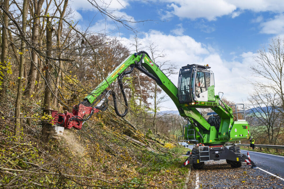 Sennebogen processor cutting down a tree on the side of the road.